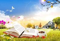 叶国富旗下名创优品成被执行人，被执行近500万内容具体是什么