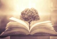 宜春市庆晓建材有限公司成立 注册资本10万人民币